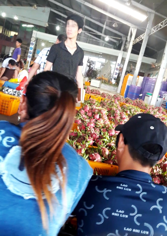 Thương lái Trung Quốc thao túng thanh long Bình Thuận 