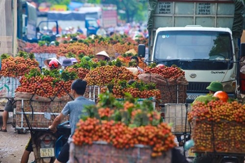 Quốc lộ 31 tắc nghẽn vì thương lái mua vải - ảnh 3