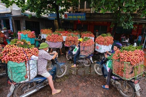 Quốc lộ 31 tắc nghẽn vì thương lái mua vải - ảnh 4