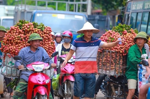 Quốc lộ 31 tắc nghẽn vì thương lái mua vải - ảnh 8