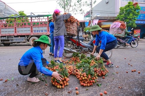 Quốc lộ 31 tắc nghẽn vì thương lái mua vải - ảnh 12