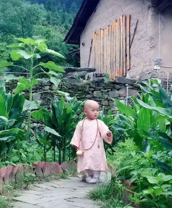 cap vo chong len nui an cu, song nhu trong phim kiem hiep hinh anh 2