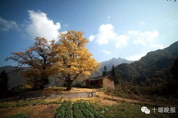 cap vo chong len nui an cu, song nhu trong phim kiem hiep hinh anh 7