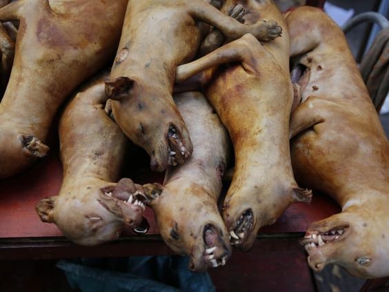 Chàng trai Mỹ đi 