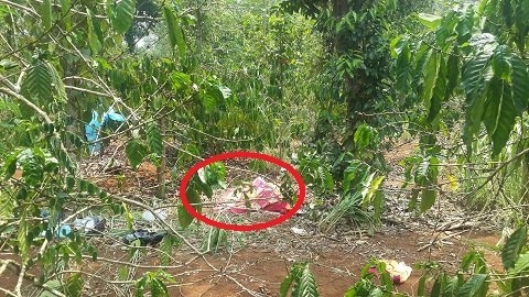 khong che be gai dua vao ray ca phe, dung vu luc hiep dam hinh anh 1