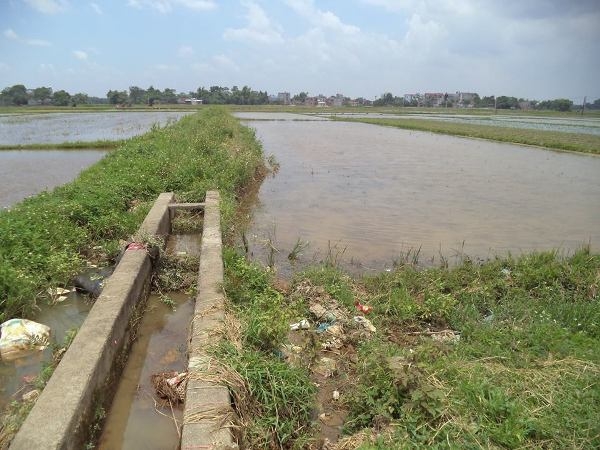 nguoi 4 lan bi tuyen tu hinh bi truy to oan toi hiep dam? hinh anh 1