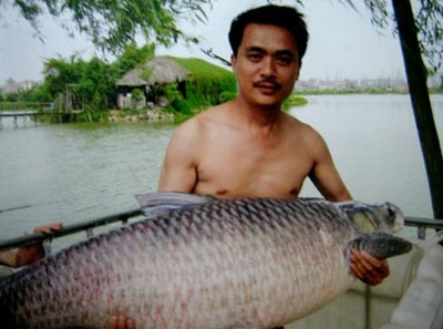 cần thủ, cá trắm, cá chép, Hồ Tây, thủy quái, cá khủng, ốc ma, ốc Hồ Tây, cá ma, ngư dân,