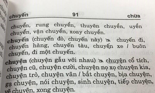 Xôn xao cuốn từ điển chính tả tiếng Việt cũng sai... chính tả? - Ảnh 3
