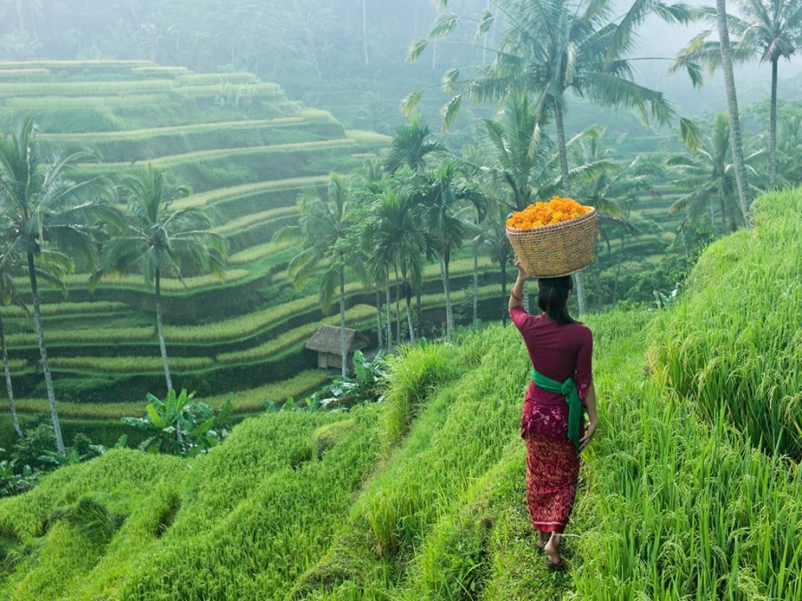 3 thang canh Viet Nam vao top canh dep nhat chau A hinh anh 6