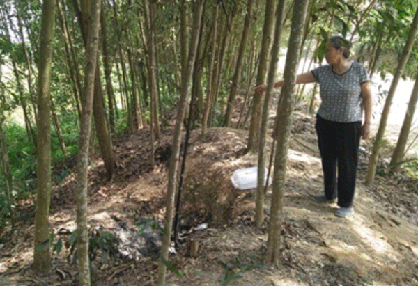  Hiện trường nơi thi thể cháu bé xấu số bị mẹ vứt bỏ 