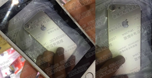 Hình ảnh về iPhone 7 bản 4,7 inch. Ảnh: Rockchip.