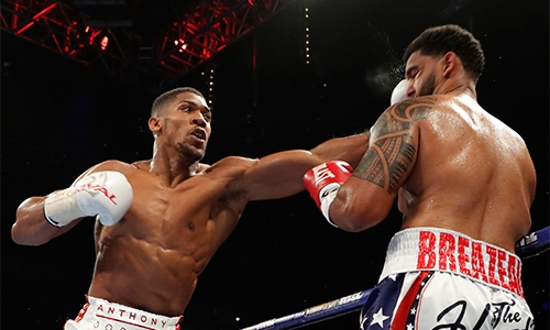 joshua-lai-thang-knock-out-bao-ve-dai-hang-nang-ibf