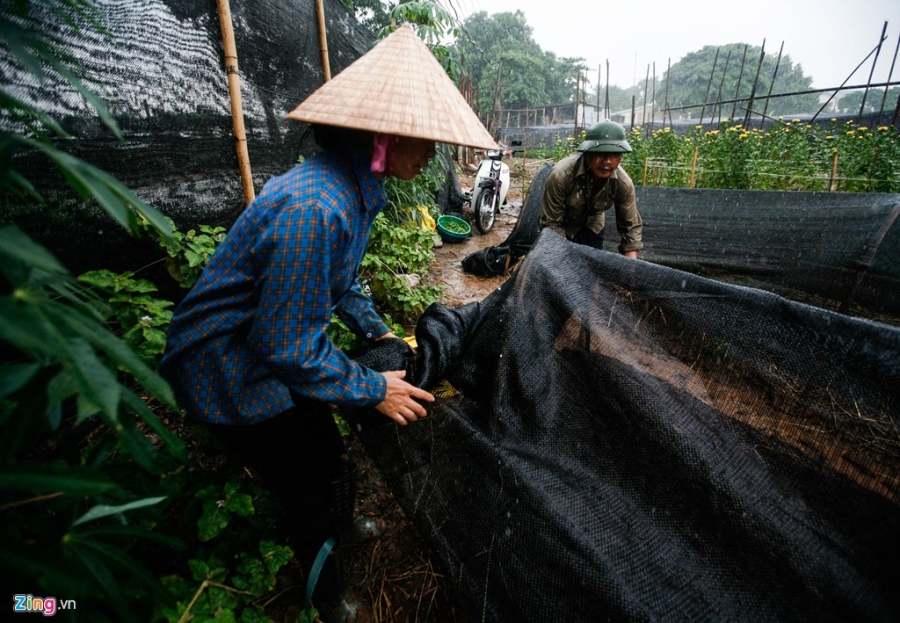 Lang hoa noi tieng Ha Noi lao dao mat mua hinh anh 16