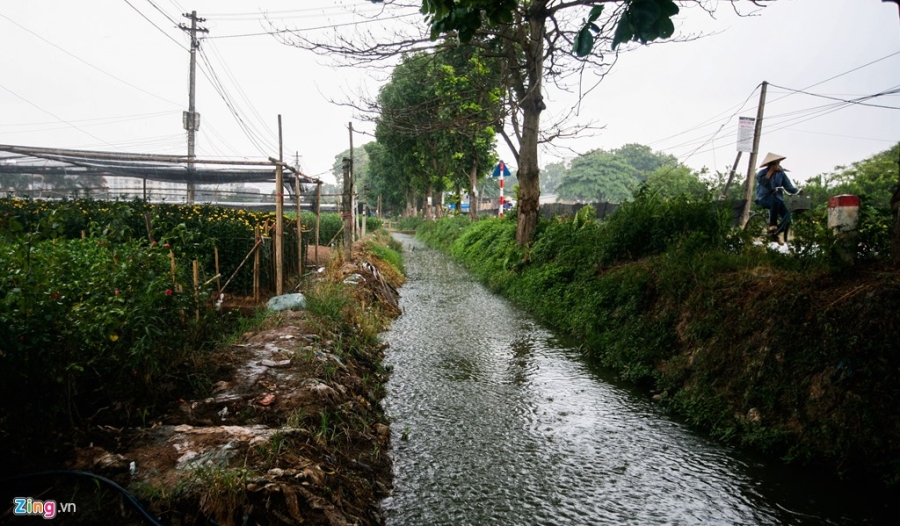 Lang hoa noi tieng Ha Noi lao dao mat mua hinh anh 18