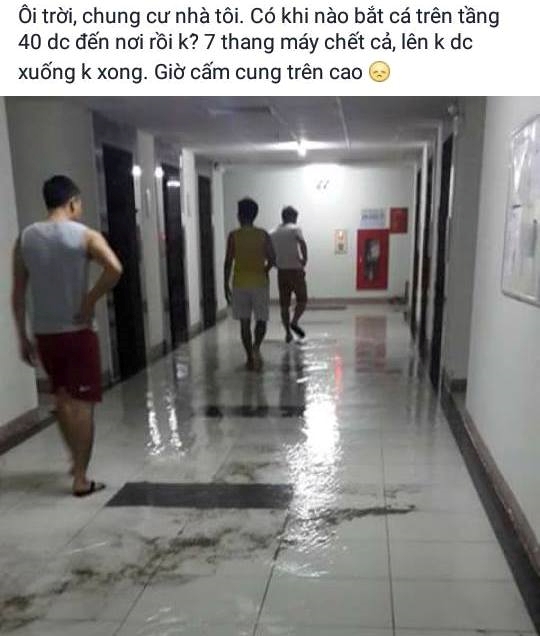 Ngap o tang cao chung cu ong Than, thang may ngung hoat dong hinh anh 1
