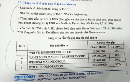 Wei Yu Engineering dù là nhà đầu tư đại diện, nhưng chỉ đóng vỏn vẹn 2% vốn, tương đương 15 triệu USD.