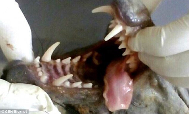 Giết được 