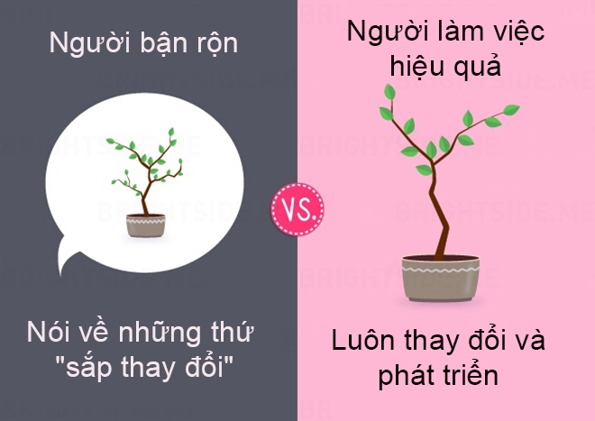 Sự khác biệt giữa người bận rộn với người làm việc hiệu quả