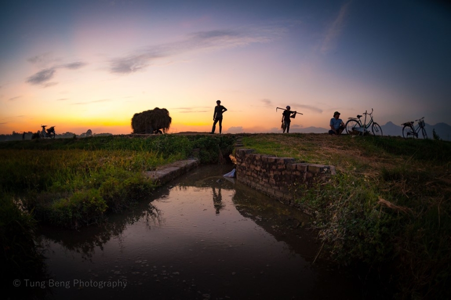 Mua gat tren canh dong Bac Bo hinh anh 8
