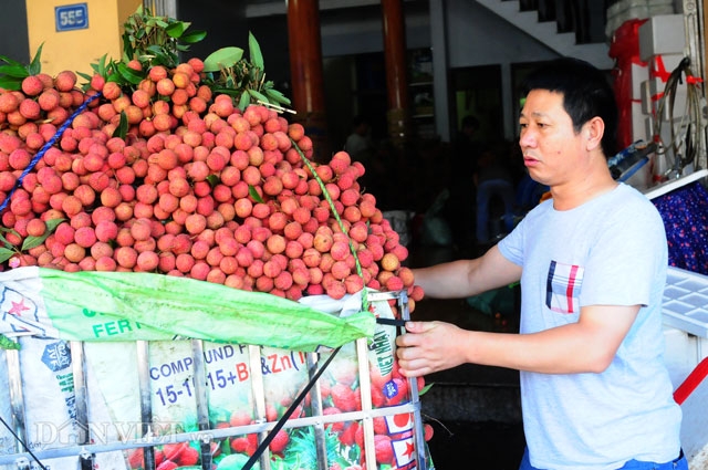 thuong lai trung quoc tran ngap cho vai thieu, ep gia nong dan hinh anh 1