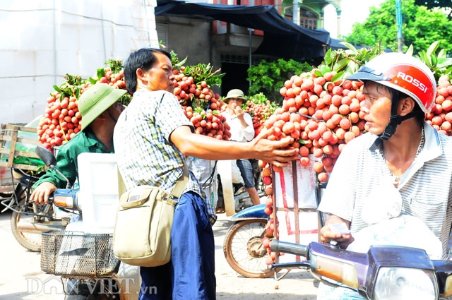 thuong lai trung quoc tran ngap cho vai thieu, ep gia nong dan hinh anh 2