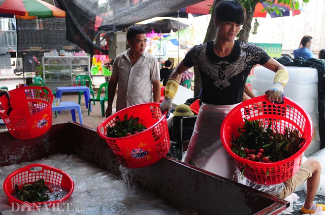 thuong lai trung quoc tran ngap cho vai thieu, ep gia nong dan hinh anh 12