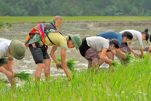 ông bố việt nam, cuộc thi, đại sứ quán Thụy Điển, trao giải, ấn tượng, hình ảnh đẹp