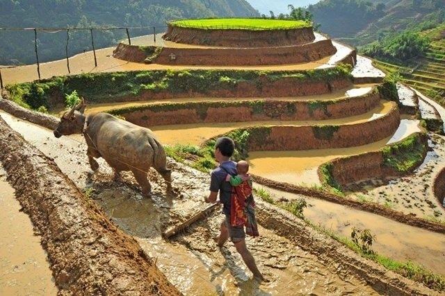 ông bố việt nam, cuộc thi, đại sứ quán Thụy Điển, trao giải, ấn tượng, hình ảnh đẹp