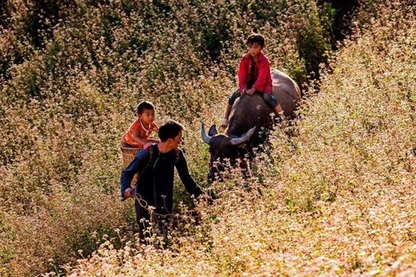 ông bố việt nam, cuộc thi, đại sứ quán Thụy Điển, trao giải, ấn tượng, hình ảnh đẹp