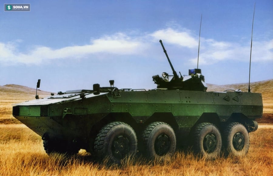 Sau VN-4, Việt Nam sẽ mua ZBL-09 Trung Quốc cho Hải quân đánh bộ? - Ảnh 2.