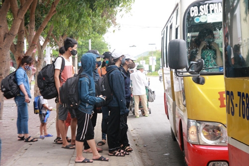 Thi môn Sinh học: 