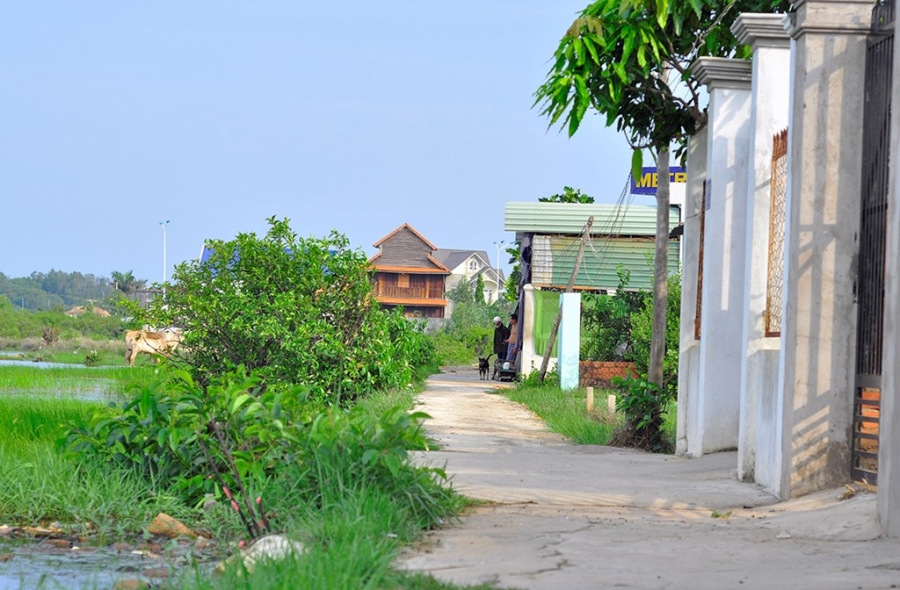 Can canh du an nghin ty khien lanh dao Vung Tau bi khoi to hinh anh 11