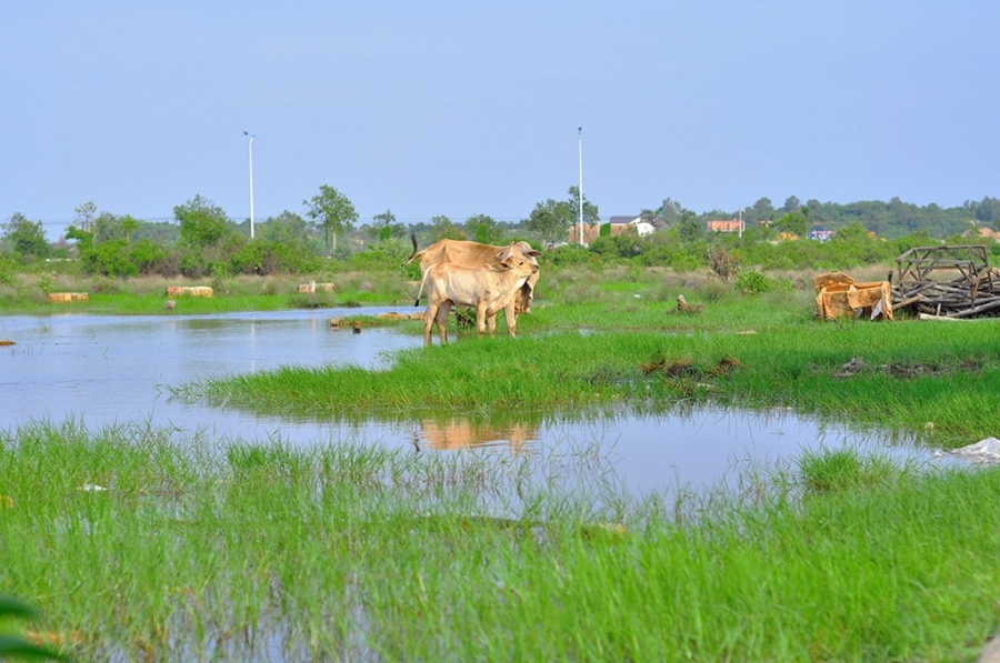 Can canh du an nghin ty khien lanh dao Vung Tau bi khoi to hinh anh 12