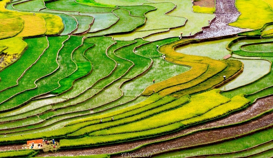 Ngay he tren mien son cuoc Mu Cang Chai hinh anh 2