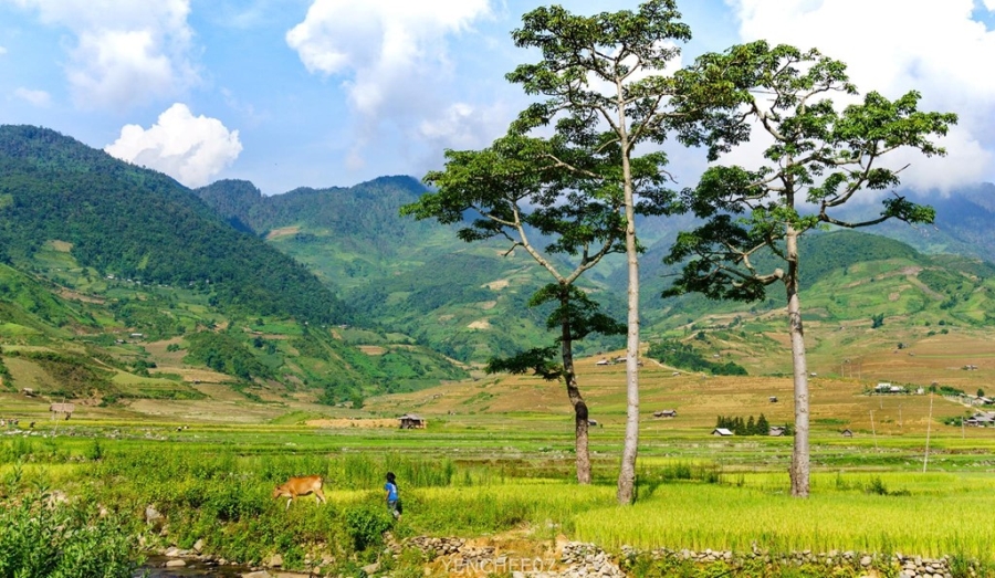 Ngay he tren mien son cuoc Mu Cang Chai hinh anh 4