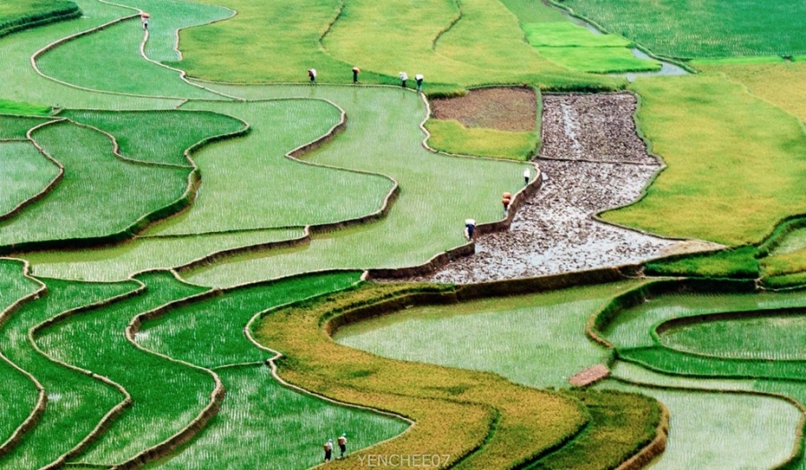 Ngay he tren mien son cuoc Mu Cang Chai hinh anh 6