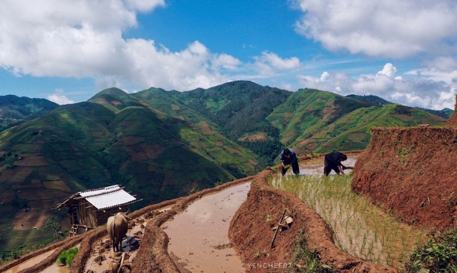 Ngay he tren mien son cuoc Mu Cang Chai hinh anh 7