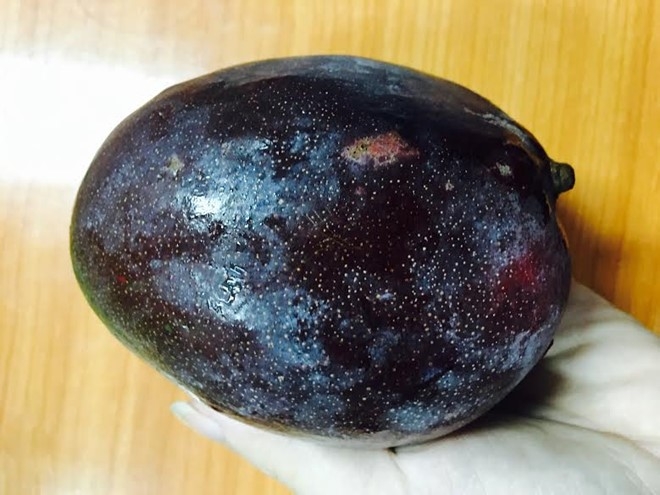 Xoai la tim bam: Dan Ha thanh to mo an thu hinh anh 2