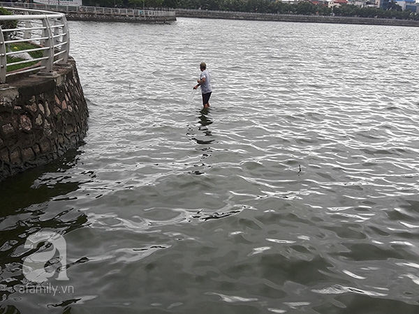 cá chết