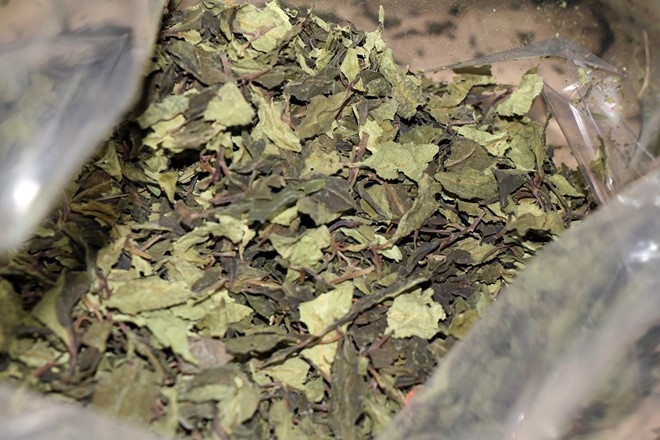 Duong di cua 2,5 tan ma tuy ‘la Khat’ cuc doc hinh anh 9