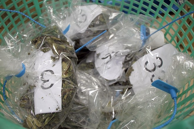Duong di cua 2,5 tan ma tuy ‘la Khat’ cuc doc hinh anh 10