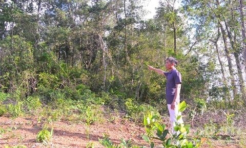 Dan trau hoang dien cuong tan cong nguoi hinh anh 1