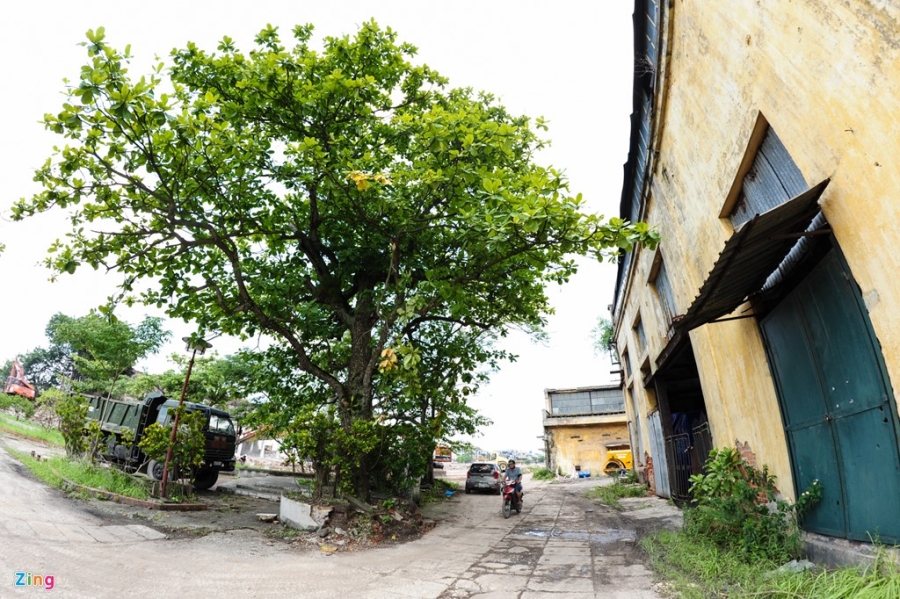 Nha may det Nam Dinh da bi san phang gan het hinh anh 12