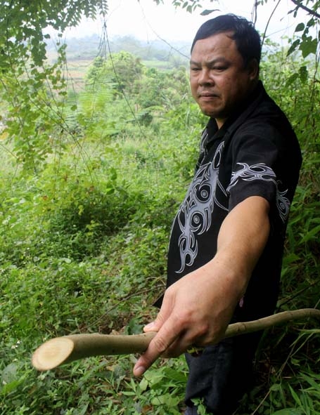 Ông lang Út lấy thuốc trong rừng 