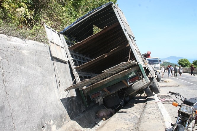 Xe chở heo lật trên đèo Hải Vân /// Ảnh: Nguyễn Tú