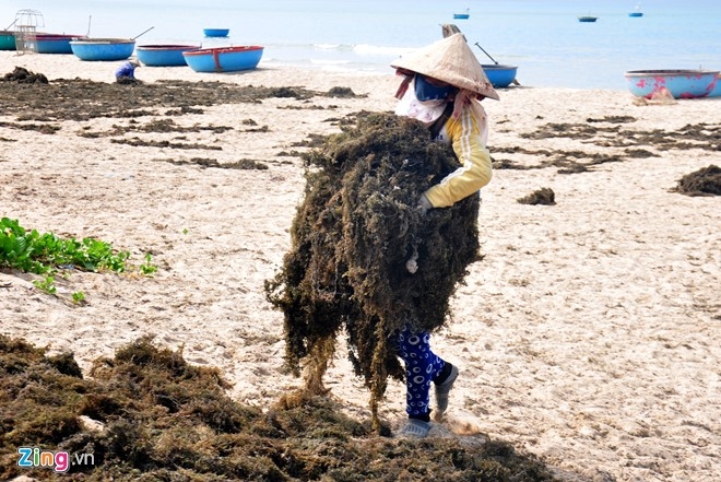 O at khai thac rong mo vung bien Quang Ngai hinh anh 3