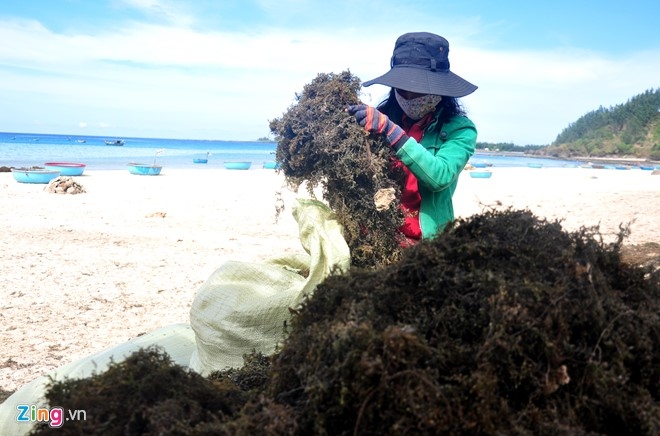 O at khai thac rong mo vung bien Quang Ngai hinh anh 6