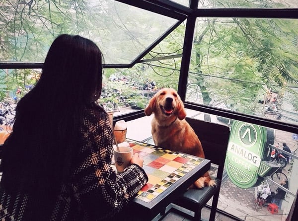 cô gái, người Việt,chú chó, đi phượt, dân phượt, phượt thủ