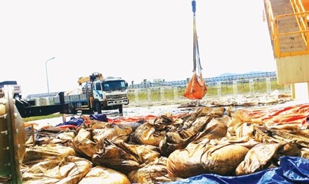 Số chất thải nguy hại mà Phú Hà đưa về là thùng phuy, bóng đèn huỳnh quang thải và giẻ lau dính dầu thải...