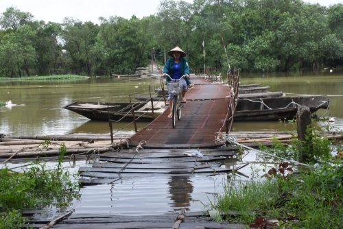‘Thưa Chủ tịch Hà Nội, mạng con tôi chỉ có giá 10 triệu thôi ông ạ' - Ảnh 1